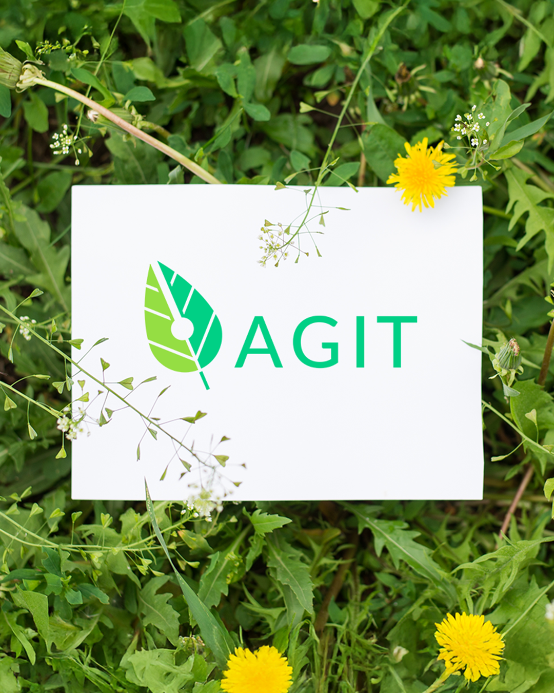 Logo_i_identyfikacja_9